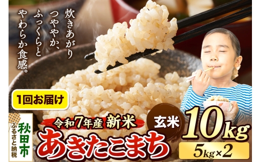 《令和7年産 新米先行受付》 米 あきたこまち 10kg（5kg×2袋） 【玄米】 秋田県産 2271249 - 秋田県秋田市