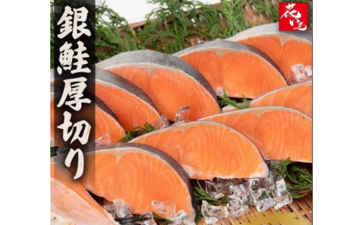 【市場食堂　花いち】銀鮭厚切り　切り身　6キロ　【11100-1916】