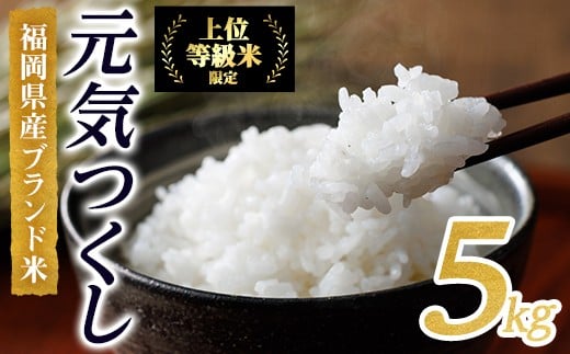 ＜先行予約受付中！2025年10月に順次発送予定・数量限定＞JAよりお届け！福岡県産米 元気つくし (計5kg)お米 おこめ 米 こめ コメ 白米 福岡県産 ブランド米 常温 常温保存【ksg1813】【農産物直売所ほたるの里】