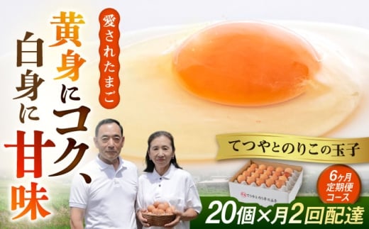 《月2回 × 20個  6ヶ月コース》 卵 てつやとのりこの玉子  全12回定期便 糸島市 / 板垣ファーム 卵 たまご 玉子 鶏卵 卵かけご飯 便利 定期便 定期購入 [AWD013]