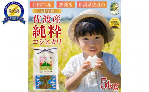 【新潟県佐渡】純粋コシヒカリ＜数量限定＞ 令和７年産 精米【無洗米】5kg 送料無料 2131514 - 新潟県佐渡市