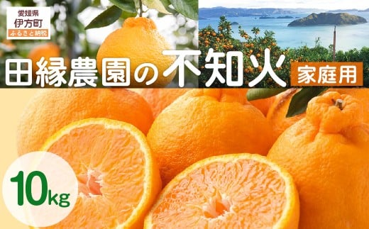 【先行予約】【家庭用】不知火 10kg ※離島への配送不可 （2026年2月10日より順次発送） 【 ふるさと納税 人気 おすすめ ランキング みかん ミカン 蜜柑 不知火 しらぬい フルーツ 果物 愛媛県産 田縁農園 愛媛県 伊方町 送料無料 】 IKTA036 2114381 - 愛媛県伊方町