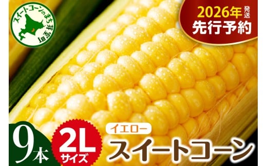 【先行受付】【2026年7月下旬～8月中旬頃配送】北海道十勝芽室町 とうもろこし 2L 9本入り me002-021c-26 686022 - 北海道芽室町