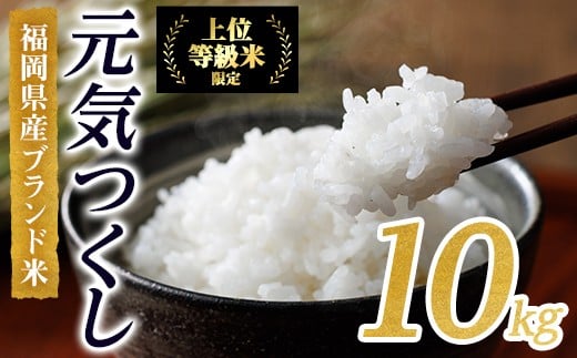 ＜先行予約受付中！2025年10月に順次発送予定・数量限定＞JAよりお届け！福岡県産米 元気つくし (計10kg)お米 おこめ 米 こめ コメ 白米 福岡県産 ブランド米 常温 常温保存【ksg1814】【農産物直売所ほたるの里】