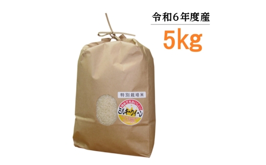 【令和6年度産】東浦町のミルキークイーン 5kg｜米 おこめ 精米 直送 鈴木農産 愛知県