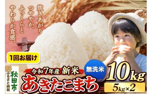 《令和7年産 新米先行受付》 米 あきたこまち 10kg（5kg×2袋） 【無洗米】 秋田県産 2271251 - 秋田県秋田市