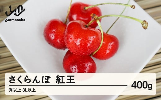 [先行予約]さくらんぼ 紅王 3L以上 秀以上 400g 2026年産 令和8年産 山形県産 送料無料 mm-yb3lx400 ※沖縄・離島への配送不可