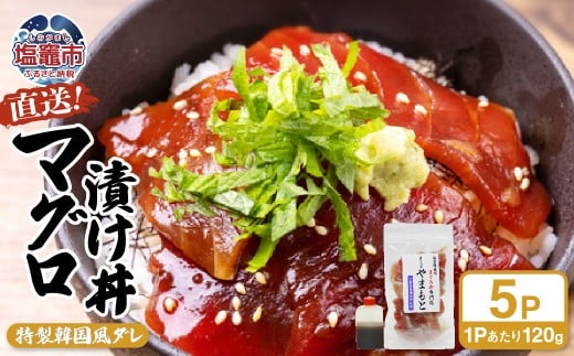 【直送マグロ使用】まぐろパック 特製韓国風タレ付き  120ｇ×5パック 塩竈市 塩釜 TUNA まぐろ屋やまもと | tu00002-5s