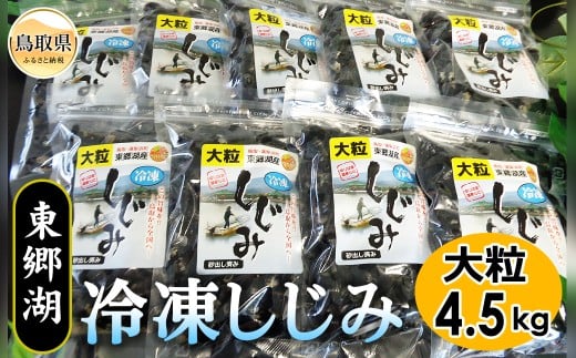 D24-008 東郷湖冷凍しじみ（大粒） 4.5kg 鳥取県 おすすめ 湯梨浜町 黒いダイヤ