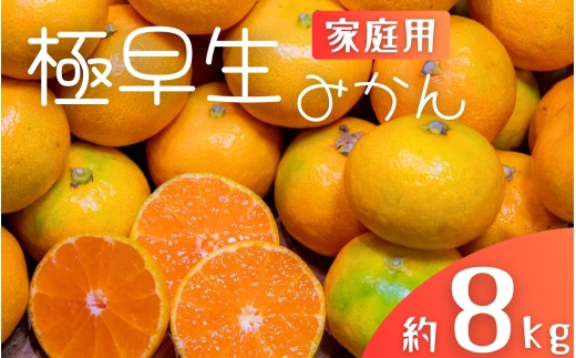 極早生みかん 約8kg みかん 産直 サイズ混合 みかん 早生みかん 果物 くだもの フルーツ 温州みかん 和歌山 柑橘 オレンジ【2025年10月上旬～下旬頃に順次発送】【mrmt040】