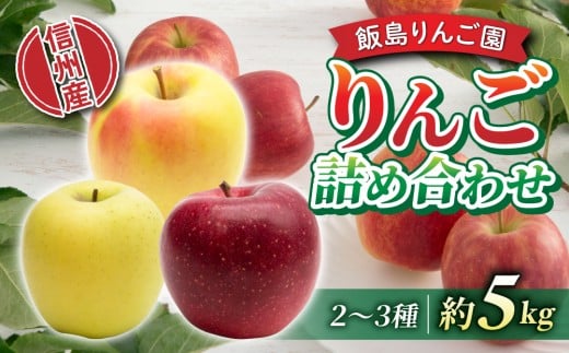 【飯島りんご園】旬の色々りんごの詰め合わせセット　5kg（2〜3種）