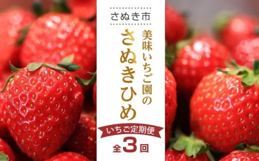 【全3回】美味いちご園のさぬきひめいちご定期便
