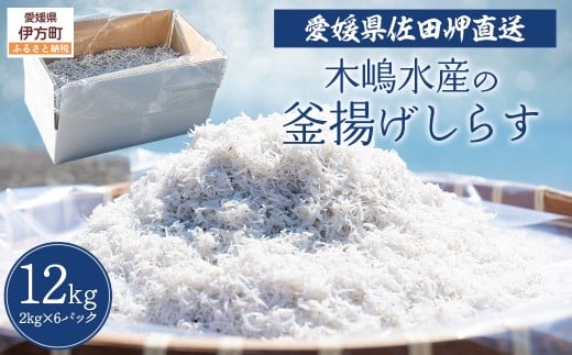 【愛媛県・佐田岬直送】木嶋水産の釜揚げしらす 12kg（2kg×6パックセット）※離島への配送不可 【ふるさと納税 人気 おすすめ ランキング 魚介類 海産物 魚 釜揚げ しらす シラス 小分け やみつき ご飯のお供 おつまみ 酒の肴 おやつ しらす丼 サラダ 海産物 魚 冷凍 国産 木嶋水産 愛媛県産 愛媛県 伊方町 送料無料】 IKTP009