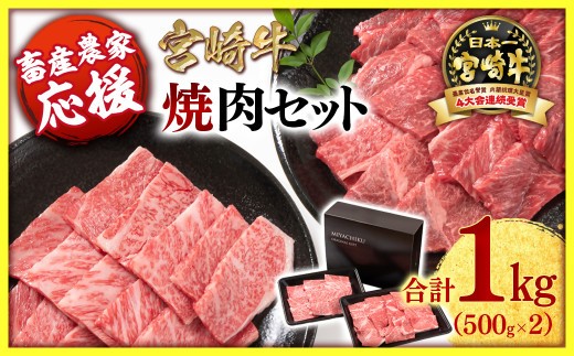 【1月発送】【畜産農家応援】宮崎牛 赤身＆肩ロース 食べ比べ焼肉セット１kg  （500g ×2）4等級以上 ミヤチク 内閣総理大臣賞4連覇 ＜1.7-40＞牛肉 赤身 焼肉