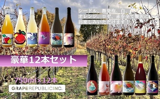 グレリパ 豪華 12本セット 750ml × 12本 『(株)グレープリパブリック』 シードル 微発砲ワイン 白ワイン オレンジワイン ロゼワイン 赤ワイン 山形県 南陽市 [2423] 2295033 - 山形県南陽市
