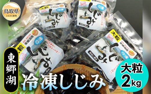 B24-043 東郷湖冷凍しじみ（大粒） 2kg 鳥取県 おすすめ 湯梨浜町 黒いダイヤ