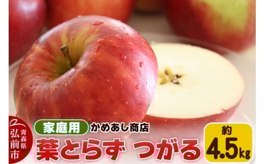【25年9月発送】りんご 葉とらず つがる【家庭用】約4.5kg ゴールド農園【レビューキャンペーン】