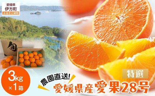 【先行予約】【数量限定】＼農園直送／愛媛県産 愛果28号（特選） 3kg×1箱（2025年12月中旬より順次発送） 【 ふるさと納税 人気 おすすめ ランキング 柑橘 みかん ミカン 蜜柑 愛果28号 紅 まどんな と同品種 果物 フルーツ 岡市農園 愛媛県産 愛媛県 伊方町 送料無料 】IKTV004