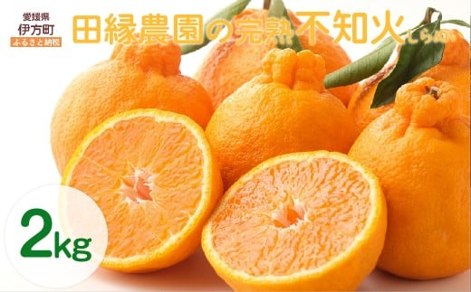 【先行予約】【数量限定】田縁農園の完熟不知火（しらぬい）2kg ※離島への配送不可 （2026年3月20日より順次発送） 【 ふるさと納税 人気 おすすめ ランキング みかん ミカン 蜜柑 不知火 しらぬい フルーツ 果物 愛媛県産 田縁農園 愛媛県 伊方町 送料無料 】 IKTA029 2114374 - 愛媛県伊方町