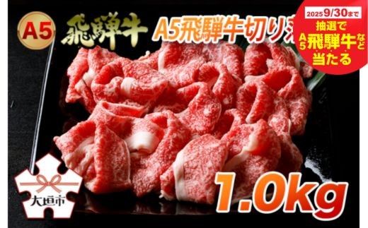 【秋の大感謝祭開催中！飛騨牛が抽選で当たる】A5飛騨牛切り落とし　1.0kg 2124586 - 岐阜県大垣市