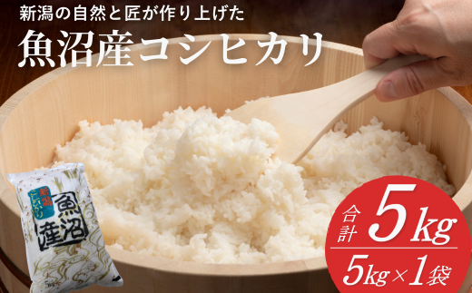 【令和7年産 新米予約】魚沼産コシヒカリ 精米5kg(5kg×1袋) ※2025年11月下旬頃から発送開始 白米 精米 新潟県産コシヒカリ 共栄農工社【0002-KY01-01】