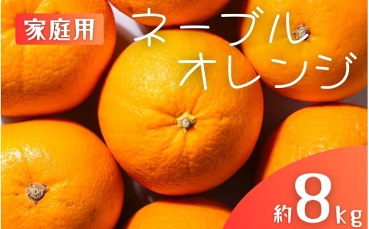 【家庭用】 森本農園の手選別 ネーブルオレンジ 約8kg 和歌山県産 サイズ混合 【2026年1月上旬～2月中旬頃に順次発送】【mrmt046】 