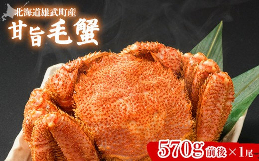 【北海道雄武町産】やわらか殻の甘旨毛蟹 570g前後1尾 | 毛ガニ カニ かに 蟹 殻付き 浜茹で ジューシー 海産物 海鮮 冷蔵 鮮度直送 柔らかい 食べやすい 蟹料理 ギフト おすすめ 贈答用 鮮魚 食材 海の幸 お取り寄せ 北海道 雄武町 雄武【07184】