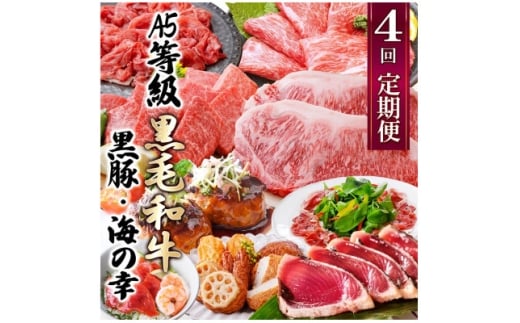 定期便(4回配送)黒毛和牛&黒豚・かつお・さつまあげ NN-0040_ 肉 お肉 牛肉 焼肉 ハンバーグ 切り落とし 薩摩揚げ さつま揚げ サーロイン ステーキ 鰹 生ハム 人気 おすすめ 送料無料 贈答 【1166778】