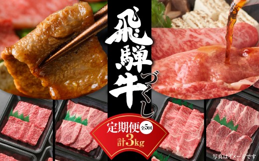【定期便】飛騨牛 全５回（焼肉・すき焼き・ステーキ）計3kg | 焼肉 ステーキ カルビ 食べ比べ 牛 定期 飛騨高山ミート [MZ100]