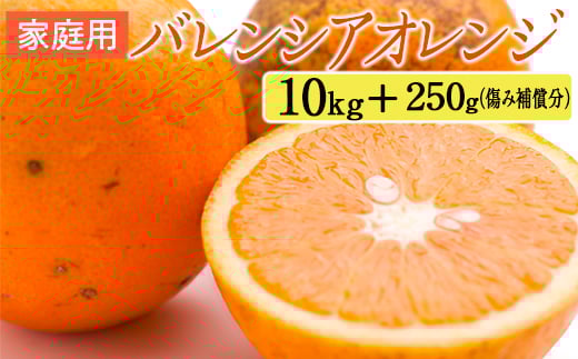 家庭用 バレンシアオレンジ10kg+250g（傷み補償分）