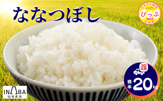 ななつぼし 精米 20kg 3回 定期便【稲場農場】【2025年産 先行受付】米 お米 北海道米 特Aランク 国産 白米 コメ 北海道 比布町 ぴっぷ 1024-009