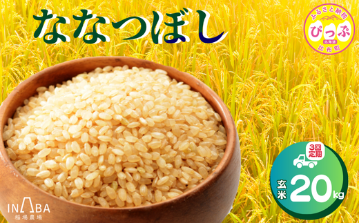 ななつぼし 玄米 20kg 3回 定期便【稲場農場】【2025年産 先行受付】米 お米 北海道米 特Aランク 国産 白米 コメ 北海道 比布町 ぴっぷ 1024-011