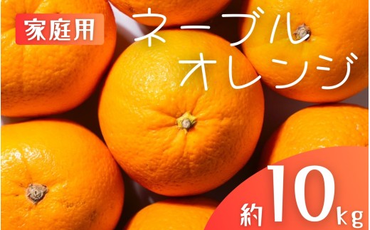 【家庭用】 森本農園の手選別 ネーブルオレンジ 約10kg 和歌山県産 サイズ混合 【2026年1月上旬～2月中旬頃に順次発送】【mrmt035】 