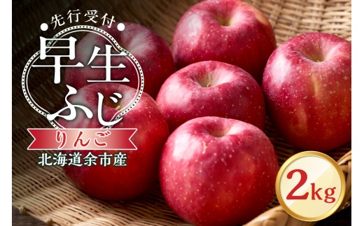 【先行予約：2025年10月中旬より発送】りんご（早生ふじ）2kg【北海道余市町産】
