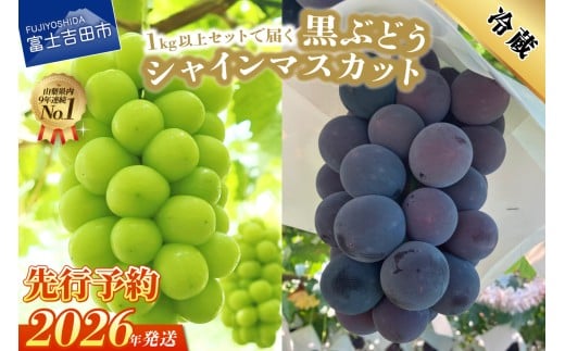 【2026年発送 先行予約】ジューシーで甘さ抜群 シャインマスカットと黒ぶどうセット(1kg以上) マスカット ぶどう 果物 フルーツ 旬 高級 2026年 山梨 富士吉田