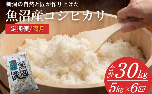 【令和7年産 新米予約 定期便】魚沼産コシヒカリ 精米計30kg(5kg×6回) 隔月お届け 白米 魚沼 米 共栄農工社【0002-KY05DB00-01】