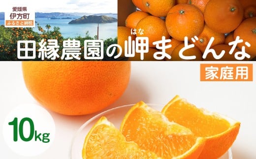 【先行予約】【家庭用】岬まどんな 10kg ※離島への配送不可 （2025年11月25日より順次発送） 【 ふるさと納税 人気 おすすめ ランキング みかん ミカン 蜜柑 はなまどんな まどんな フルーツ 果物 愛媛県産 田縁農園 愛媛県 伊方町 送料無料 】 IKTA034 2114379 - 愛媛県伊方町