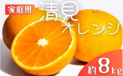 【先行予約】【家庭用】 森本農園の手選別 清見オレンジ 約8kg 和歌山県産 サイズ混合 ※2026年2月上旬～5月中旬頃順次発送 / きよみ 清見 柑橘 ご家庭用 期間限定 由良町 果物 フルーツ 和歌山県【mrmt048】