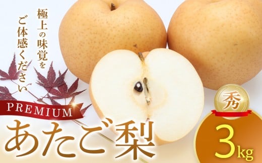 プレミアムあたご梨 秀 3kg ※2025年11月下旬～2026年2月中旬頃に順次発送予定【先行予約 梨 なし 果物 フルーツ くだもの 鳥取県 北栄町 おすすめ 人気 送料無料】