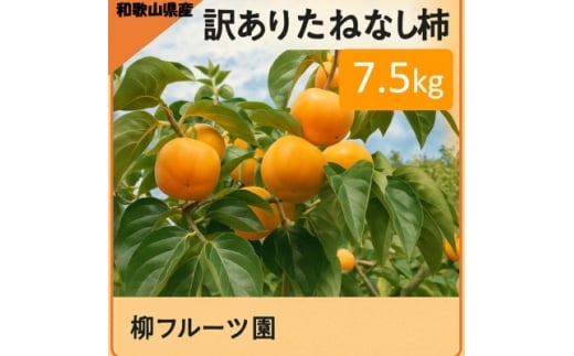 柳フルーツ園の訳ありたねなし柿7.5kg【1077001】