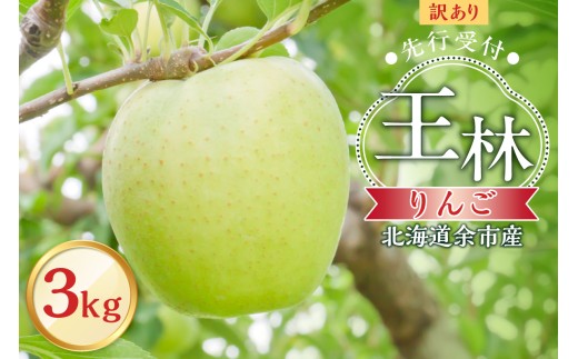 【先行予約：2025年10月下旬より発送】訳アリ りんご（王林）3kg【北海道余市町産】