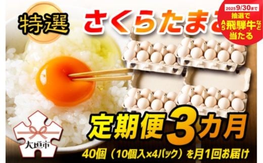 [秋の大感謝祭開催中!飛騨牛が抽選で当たる]特選 さくらたまご[定期便 3カ月]☆40個(10個入×4パック)を月1回お届け☆☆