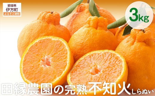 【先行予約】【数量限定】田縁農園の完熟不知火（しらぬい）3kg ※離島への配送不可 （2026年3月20日より順次発送） 【 ふるさと納税 人気 おすすめ ランキング みかん ミカン 蜜柑 不知火 しらぬい フルーツ 果物 愛媛県産 田縁農園 愛媛県 伊方町 送料無料 】 IKTA019 2114364 - 愛媛県伊方町