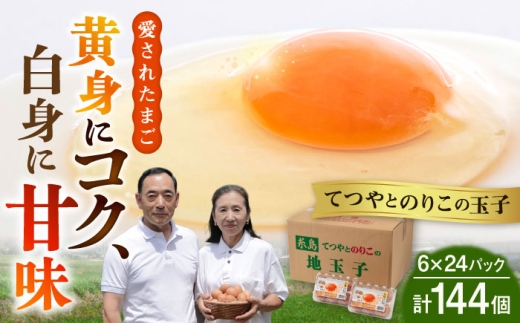 てつやとのりこの 玉子 ( 6個入 × 24P ) 【 144個 小分け 】《糸島》【板垣ファーム】[AWD004]