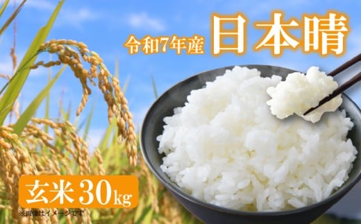 [ 新米予約 ] 令和7年産 新米 日本晴 にほんばれ 米 玄米 30kg 国産 滋賀県 日野町 農家直送 お米 おこめ こめ 産地直送 ふるさと納税