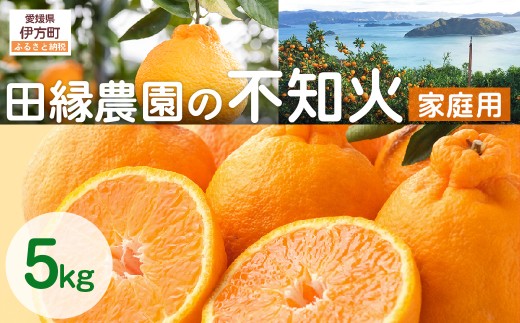 【先行予約】【家庭用】不知火 5kg ※離島への配送不可 (2026年2月10日より順次発送) 【 ふるさと納税 人気 おすすめ ランキング みかん ミカン 蜜柑 不知火 しらぬい フルーツ 果物 愛媛県産 田縁農園 愛媛県 伊方町 送料無料 】 IKTA035 2114380 - 愛媛県伊方町