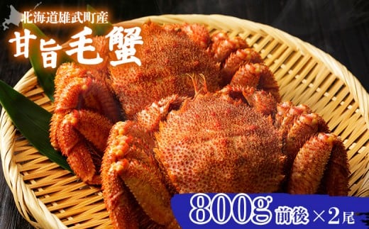 【北海道雄武町産】やわらか殻の甘旨毛蟹800g前後×2尾 | 毛ガニ カニ かに 蟹 殻付き 浜茹で ジューシー 海産物 海鮮 冷蔵 鮮度直送 柔らかい 食べやすい 蟹料理 ギフト おすすめ 贈答用 鮮魚 食材 海の幸 お取り寄せ 北海道 雄武町 雄武【07187】