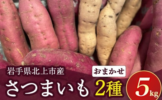【予約受付 2025年産 】 野菜ソムリエ 齋藤セレクト「新」秋セット さつまいも 2種 (約 5kg ) セット 国産 岩手 サツマイモ 芋 野菜 セット シルクスイート 紫さつまいも パープルスイート ハロウィンスイート 紅あずま 紅はるか 安納芋 鳴門金時等 岩手県 北上市 C0308 齋藤 智仁 ※令和7年10月中旬発送開始予定