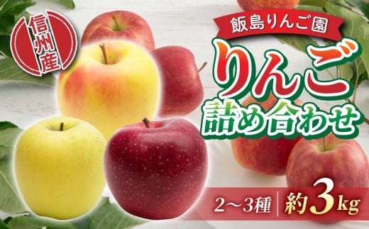 【飯島りんご園】旬の色々りんごの詰め合わせセット　3kg（2〜3種）