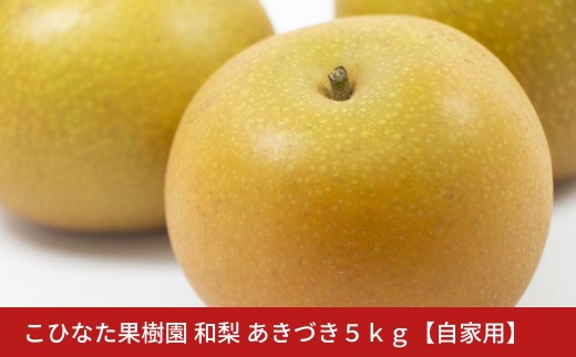 【自家用】あきづき ５㎏ [2025年発送分] 令和７年産 和梨 新潟 三条 燕三条 果物  [こひなた果樹園] 【010S801】 2268239 - 新潟県三条市